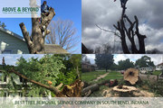 First-Rated Tree Removal Companies in South Bend