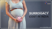 Surrogacy Cost in India | New Law and Regulations 2024